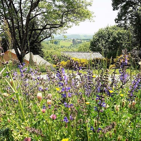 Domaine Des Marequiers Chambre Pimprenelle Bed & Breakfast Saint-Germain-du-Teil Eksteriør bilde