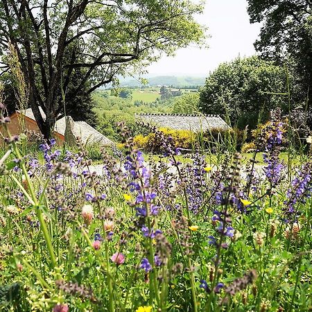 Domaine Des Marequiers Chambre Pimprenelle Saint-Germain-du-Teil Eksteriør bilde