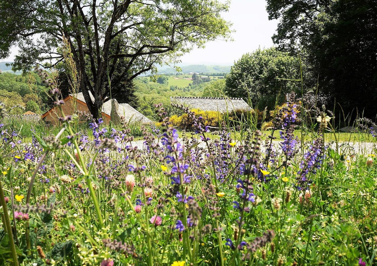 Domaine Des Marequiers Chambre Pimprenelle Bed & Breakfast Saint-Germain-du-Teil Eksteriør bilde