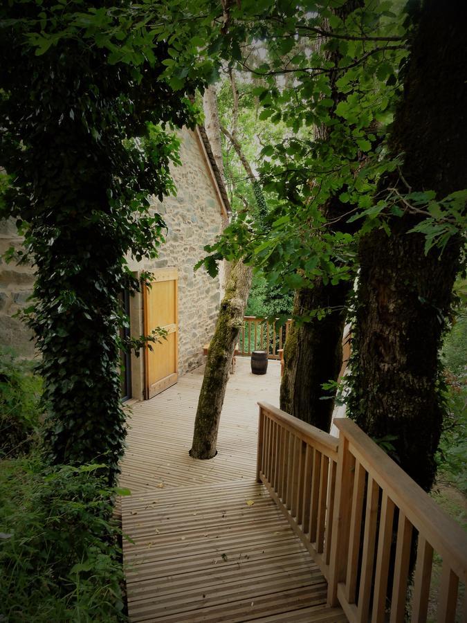 Domaine Des Marequiers Chambre Pimprenelle Saint-Germain-du-Teil Eksteriør bilde