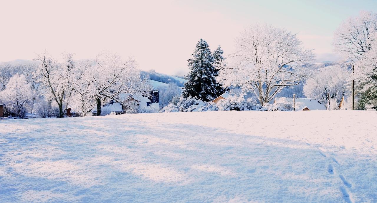 Domaine Des Marequiers Chambre Pimprenelle Saint-Germain-du-Teil Eksteriør bilde
