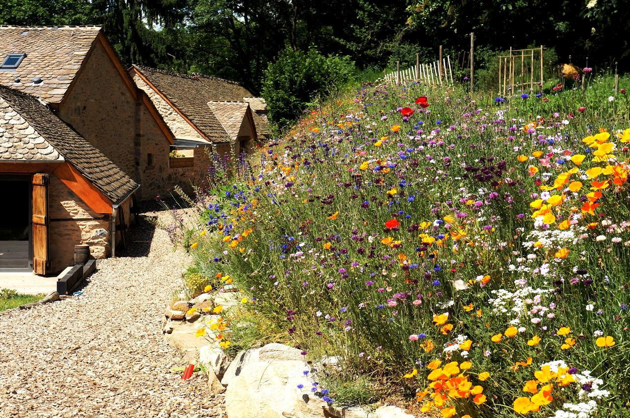 Domaine Des Marequiers Chambre Pimprenelle Bed & Breakfast Saint-Germain-du-Teil Eksteriør bilde