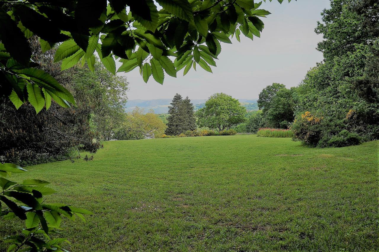 Domaine Des Marequiers Chambre Pimprenelle Bed & Breakfast Saint-Germain-du-Teil Eksteriør bilde