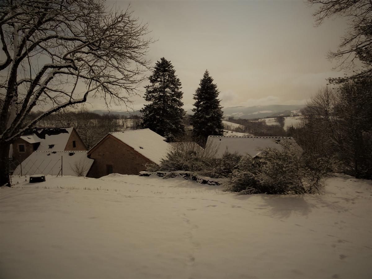 Domaine Des Marequiers Chambre Pimprenelle Bed & Breakfast Saint-Germain-du-Teil Eksteriør bilde